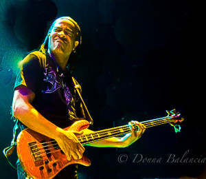 Doug Wimbish of Living Colour - Photo © 2015 Donna Balancia