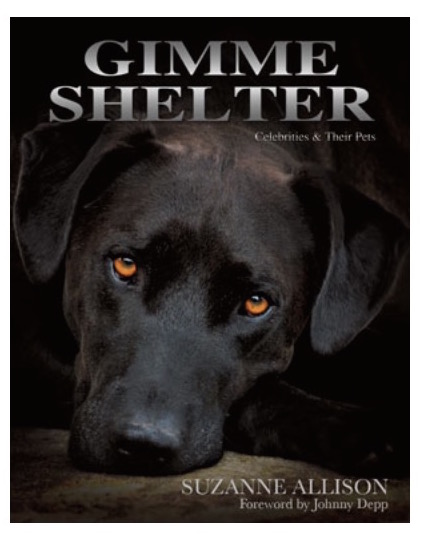 Gimme Shelter the book