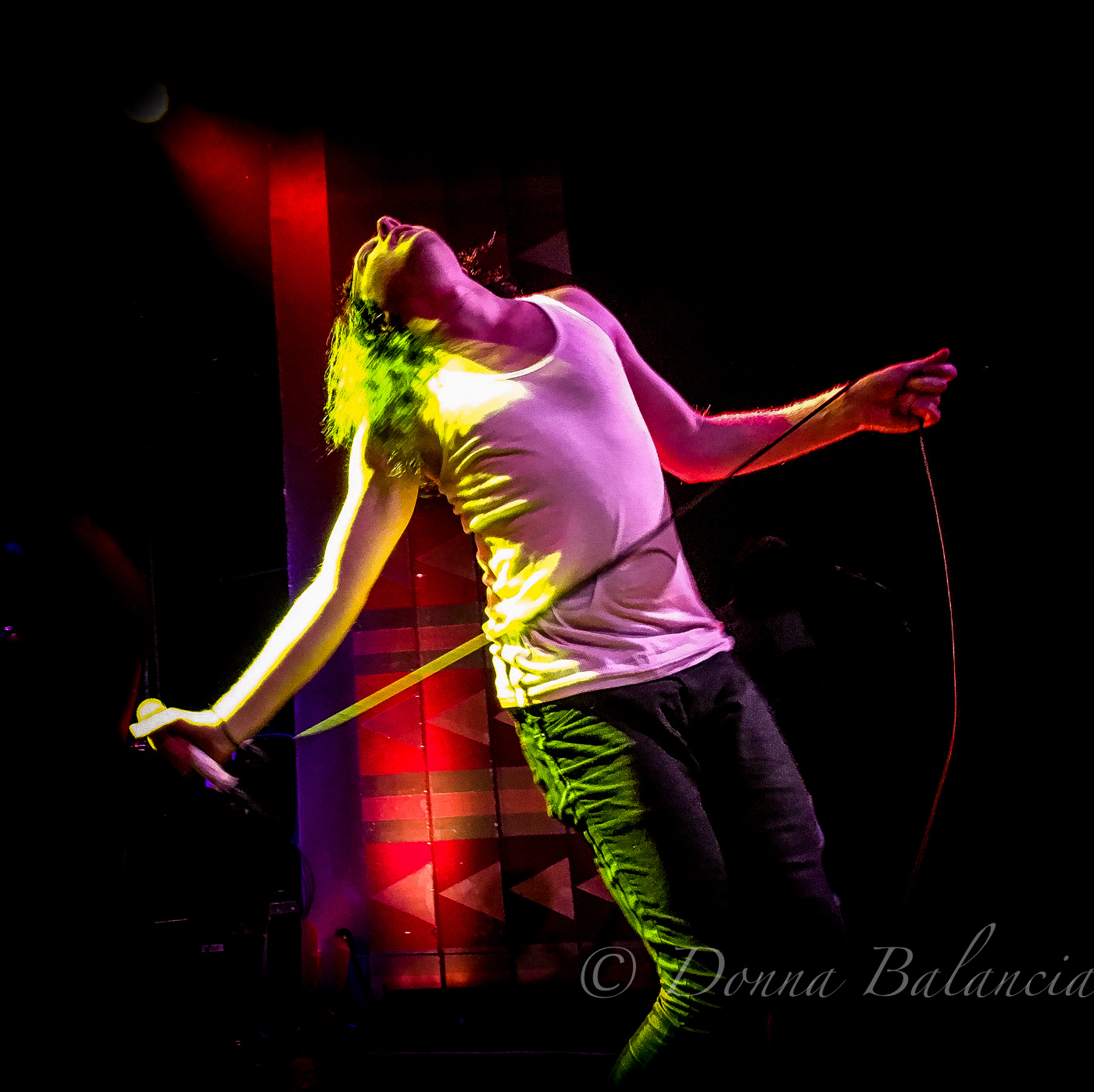 Mario Cuomo of The Orwells - Photo © 2017 Donna Balancia