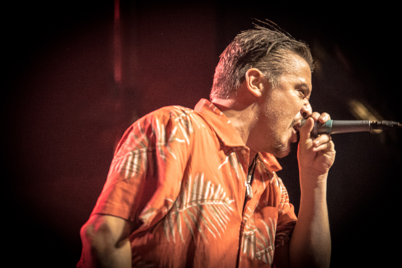 Mike Patton will be on hand for Festival of Disruption - Photo © Donna Balancia