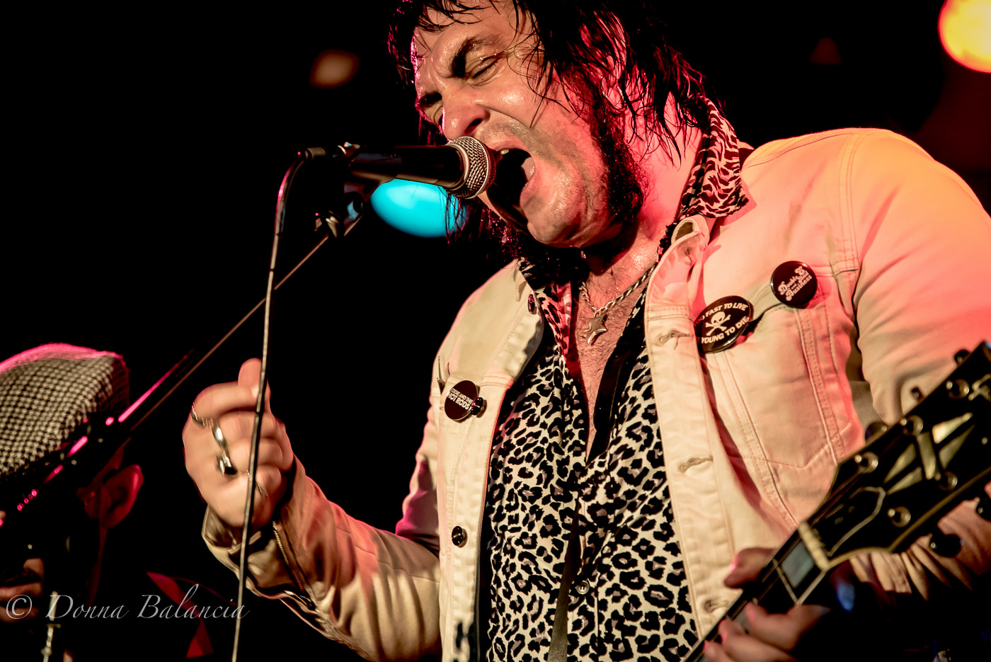Johnny Witmer of The Crazy Squeeze is a local legend - Photo © 2017 Donna Balancia