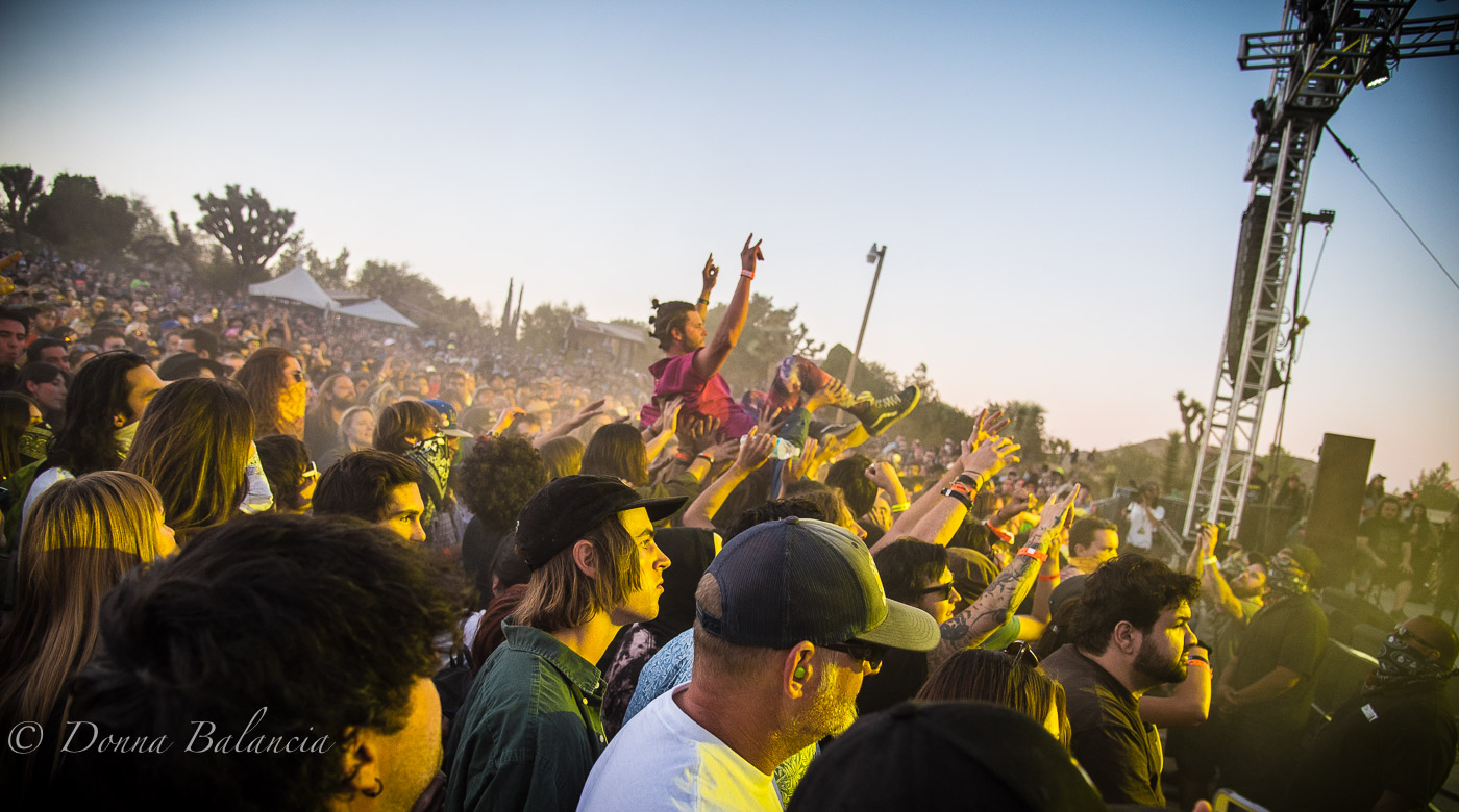 Desert Daze gets rowdy on Saturday with Sleep, King Gizzard and Iggy Pop - Photo © 2017 Donna Balancia