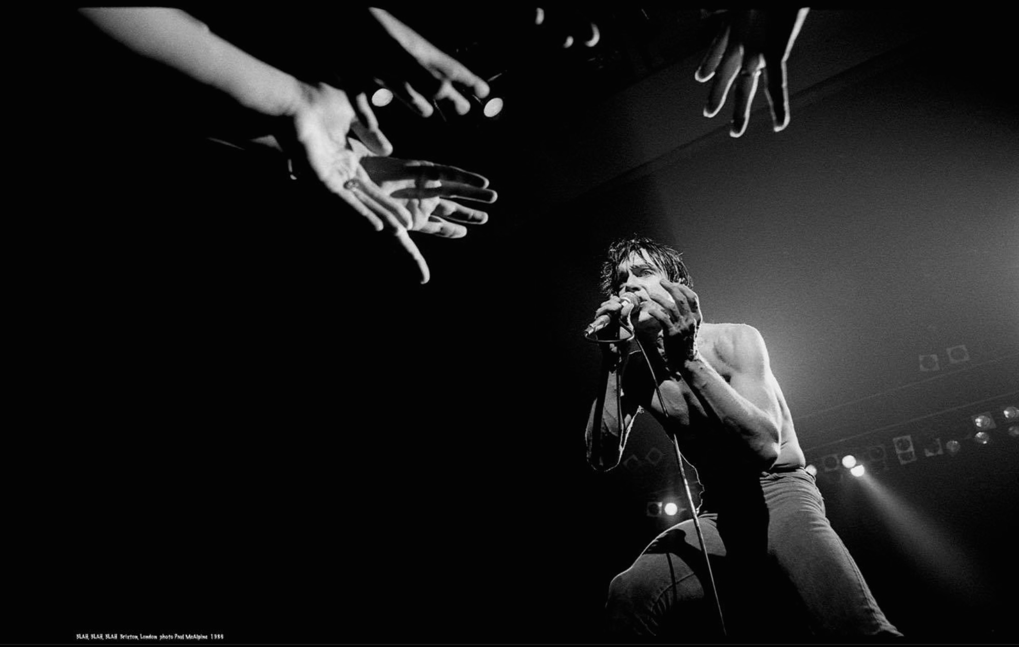 Iggy Pop in the hands of the fans - Photo © Paul McAlpine