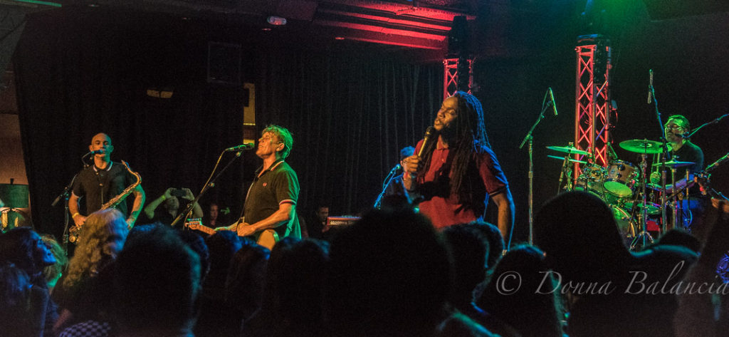 The English Beat at The Rose - Photo © 2018 Donna Balancia