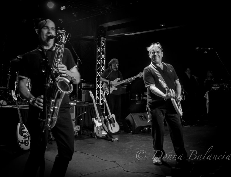 Dave and Matt English Beat - Photo © 2018 Donna Balancia (1 of 1)