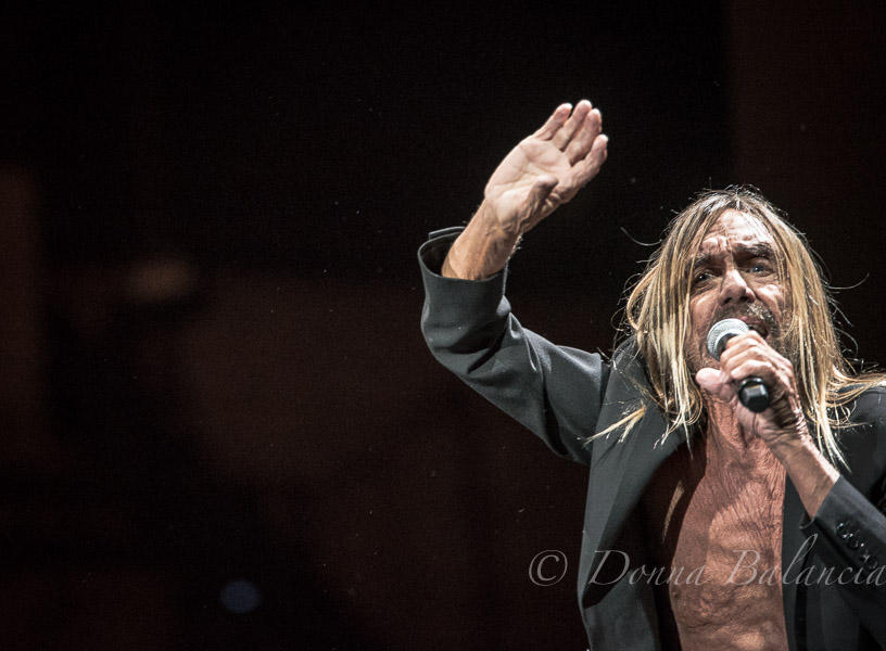 Iggy Pop poses the question: 'If I were a hitch-hiker, would you pick me up?' 