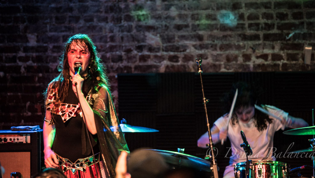 Teri and Le Butcherettes at The Hi Hat - Photo by Donna Balancia