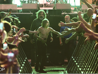 Iggy Pop walks through the outreached arms of the fans - All photos © 2025 Paul McAlpine