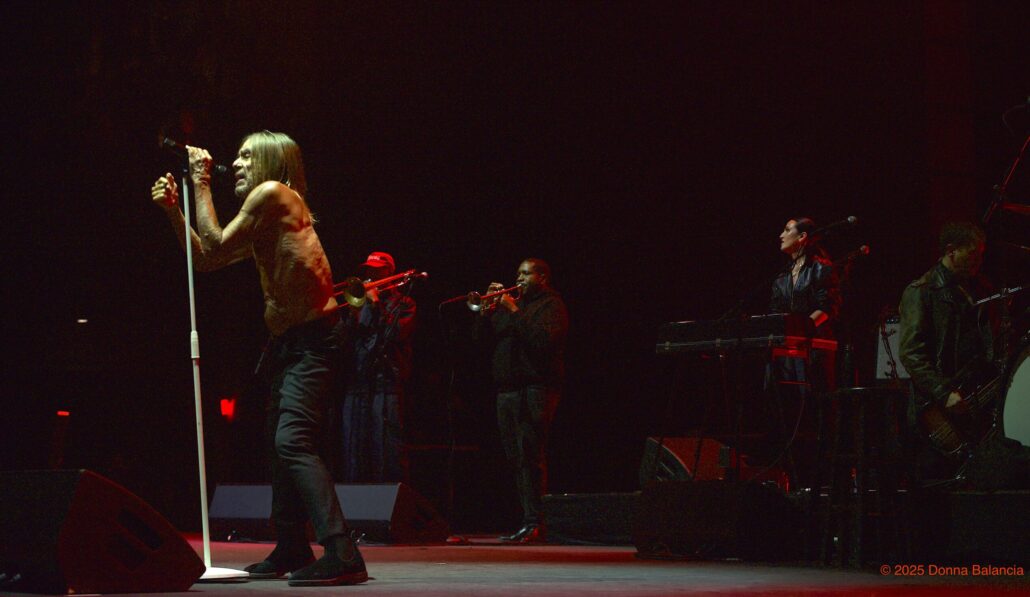 Iggy Pop at The Anthem in Washington, D.C. - Donna Balancia US Rocker