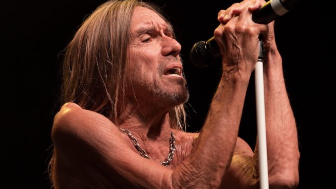 Iggy Pop Wraps Tour - Photo by Paul McAlpine
