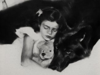 Lana Del Rey image for US Rocker